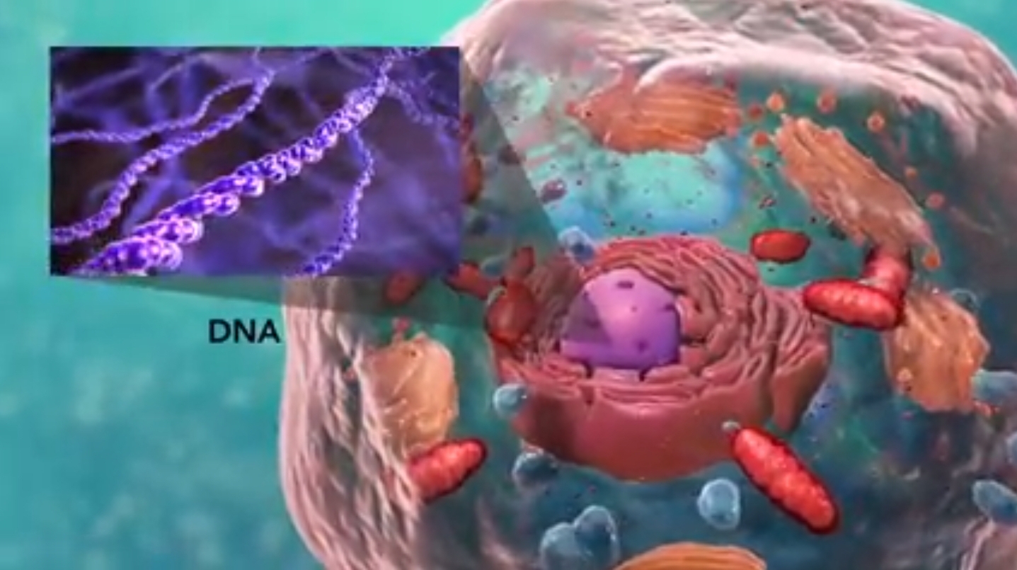 bio